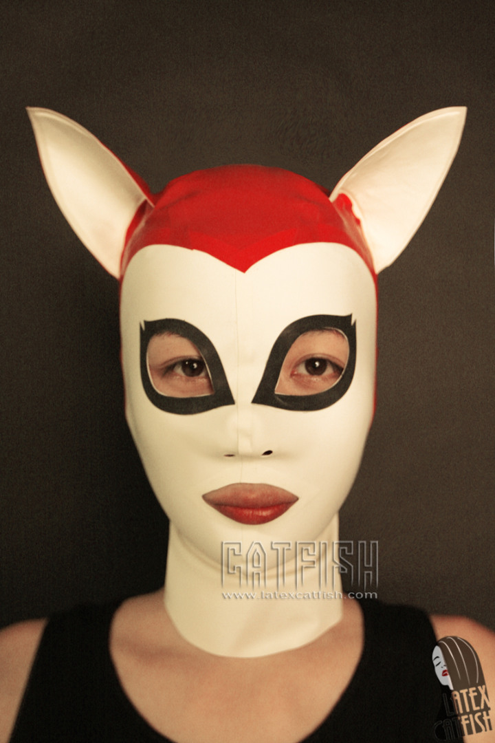 Long Ears Fox Long Ears Fox