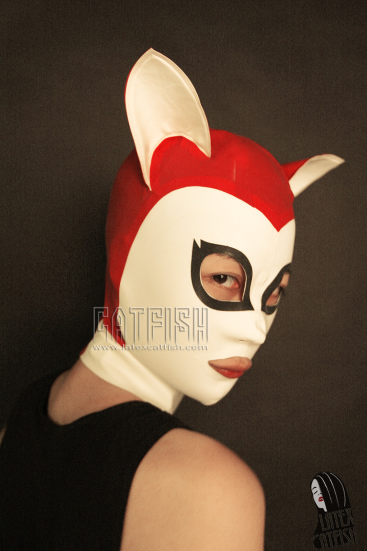 Long Ears Fox Long Ears Fox